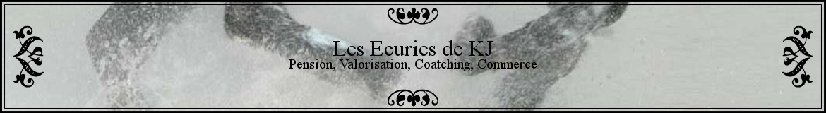 Les Ecuries de KJ